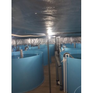 Установка Замкнутого Водоснабжения «Солярис ОСЕТР - 1000»
